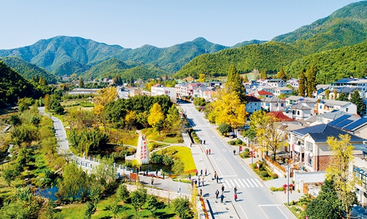 刘艳梅：推动全面推进乡村振兴取得新进展