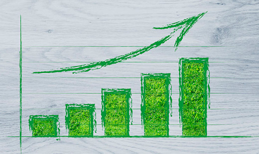 中国纪检监察报：以有力有效监督保障推进乡村振兴