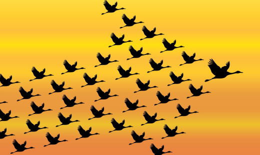 人民日报：坚持团结合作才能迈向光明未来