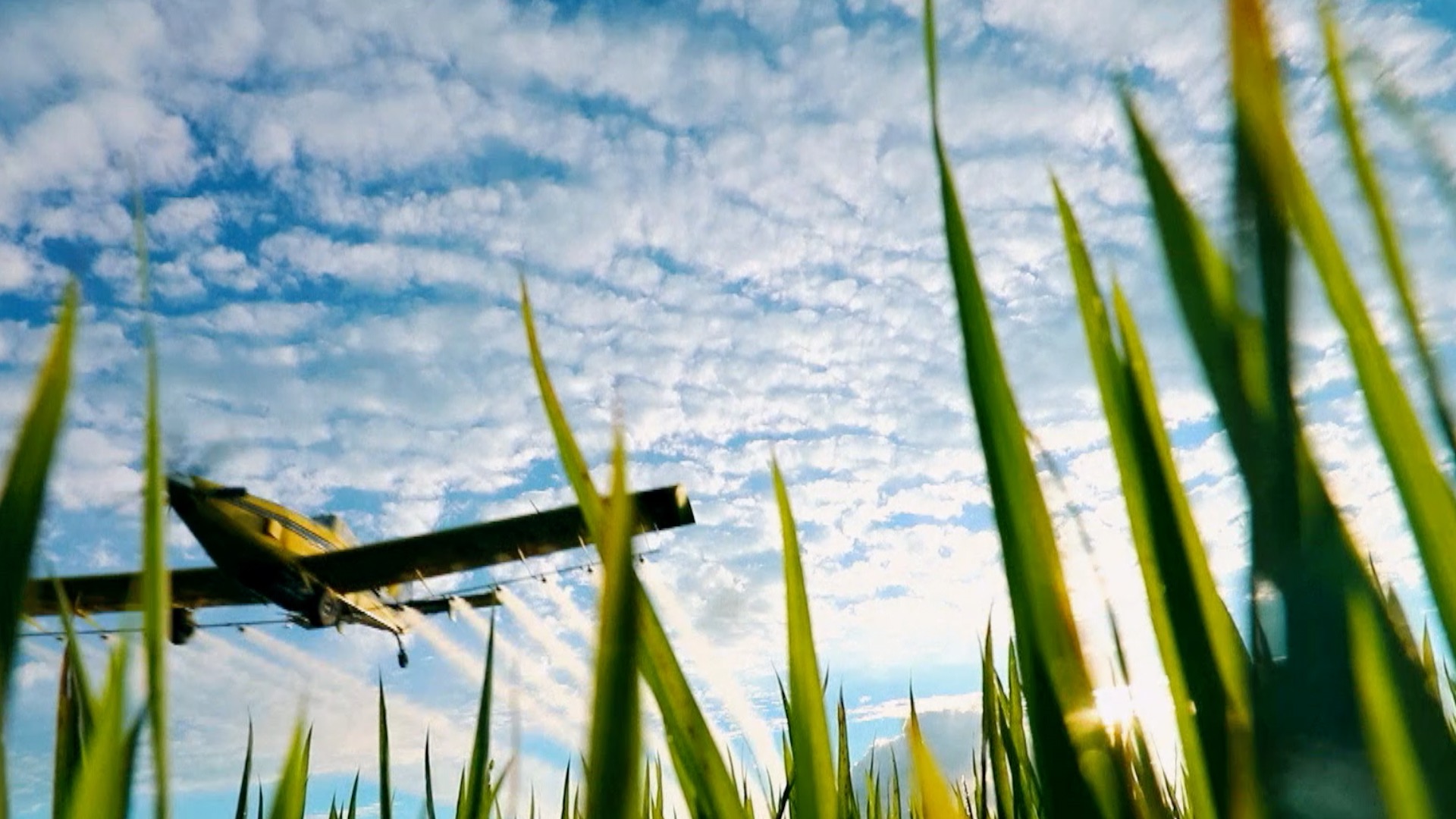 十八大开启中国特色社会主义新时代