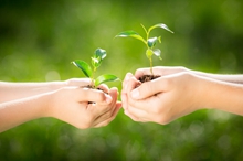 “咱村的农场越来越智慧”