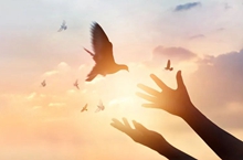 河北省石家庄市正定县——古城焕发新活力