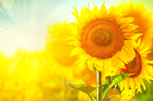 提升居民生活品质