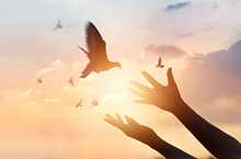 保护开发并举 传统现代相融