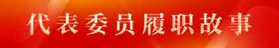 代表委员履职故事
