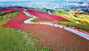 两会访谈｜统筹新型城镇化和乡村全面振兴